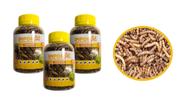 4 Potes com Tenébrio Desidratado para Aves Peixes Répteis Roedores e Pequenos Primatas 35g Importado