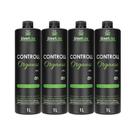 4 Progressivas Controll Frizz Sem Formol