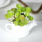 4 suculentas artificial abacaxis planta artificial silicone para bonsai decoração arranjo - sem vaso - DE8863VD
