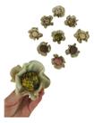 40 Forminhas P/ Doces Finos Nina Off White Flor Casamento 40 Forminhas P/ Doces Finos Nina Off White Flor Casamento