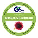 40 Sementes De Girassol Sol Noturno
