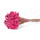 400 Botão Rosa Desidratado Sempre Viva Flores Secas