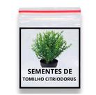 400 Sementes De Tomilho