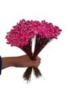 400 Sempre Vivas Decoração Casamento Lembrança Rosa