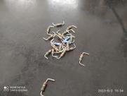 40x Resistor 10r 1/4w 1% Pre 40x Resistor 10r 1/4w 1% Pre