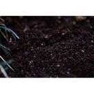 4KG Terra Vegetal PRETA - Pronta para Plantar - Pra mudas, plantas, flores e similares.