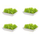 4un Saladeira Quadrada 1,4 Lt Travessa Petisqueira Bege