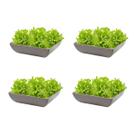 4un Saladeira Quadrada 1,4 Lt Travessa Petisqueira Cinza Evo
