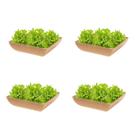 4un Saladeira Quadrada 1,4 Lt Travessa Petisqueira Marrom Cl