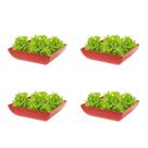 4un Saladeira Quadrada 1,4 Lt Travessa Petisqueira Vermelho