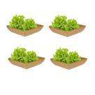 4un Saladeira Quadrada 2,9 Lt Travessa Petisqueira Marrom Cl