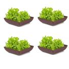 4un Saladeira Quadrada 2,9 Lt Vasilha Petisqueira Marrom Es