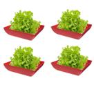 4un Saladeira Quadrada 2,9 Lt Vasilha Petisqueira Vermelha
