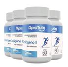 4x Colágeno Tipo 2 ( II ) - Não Hidrolisado 60 Cápulas - ApisNutri