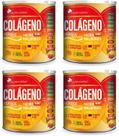 4x Colágeno Verisol + Acido Hialuronico 250 Gr Sabor Laramora Flora Nativa