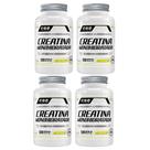 4x Creatina Monohidratada 100% Pura Com 120 Capsulas de 500mg FNB Sport Nutrition