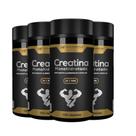 4x creatina monohidratada 3g pure 120caps hf suplements 4x creatina monohidratada 3g pure 120caps hf suplements