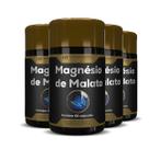 4x MAGNÉSIO DE MALATO PREMIUM 60 CAPS HF SUPLEMENTOS 4x MAGNÉSIO DE MALATO PREMIUM 60 CAPS HF SUPLEMENTOS