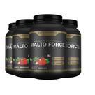 4x MALTO FORCE MALTODEXTRINA C/ VITAMINA C 1KG HF SUPLEMENTS 4x MALTO FORCE MALTODEXTRINA C/ VITAMINA C 1KG HF SUPLEMENTS