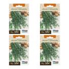 4X Sementes Alecrim (Rosmarinho) TOPSEED
