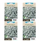 4X Sementes Alyssum Tapete De Neve (Odorant) TOPSEED