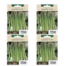 4X Sementes Aspargo Verde TOPSEED