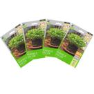 4X Sementes Brotos Microverdes de Alface Deva Super ISLA