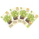 4X Sementes Brotos Microverdes de Couve Mahara ISLA