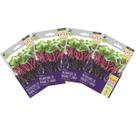 4X Sementes Brotos Microverdes de Rabanete Ganga Super ISLA 4X Sementes Brotos Microverdes de Rabanete Ganga Super ISLA