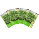4X Sementes Brotos Microverdes de Salsa Manu Super ISLA 4X Sementes Brotos Microverdes de Salsa Manu Super ISLA