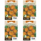 4X Sementes Calêndula Medicinal TOPSEED