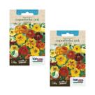 4X Sementes Capuchinha Anã (Sortida) TOPSEED