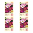 4X Sementes Cosmos-de-jardim (Carnaval) ISLA 4X Sementes Cosmos-de-jardim (Carnaval) ISLA