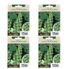 4X Sementes Couve-de-Bruxelas TOPSEED