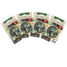 4X Sementes de Alface Crespa Roxa TOPSEED