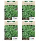 4X Sementes de Almeirão Spadona (Folha Fina) TOPSEED