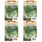 4X Sementes de Aneto/ Dill /Endro TOPSEED