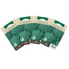 4X Sementes de Brócolis Calabrês de Cabeça TOPSEED
