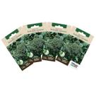 4X Sementes de Brócolis Ramoso Piracicaba TOPSEED