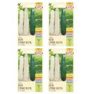 4X Sementes de bucha vegetal Esponja vegana ISLA