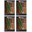 4X Sementes de Cebolinha Nebuka Evergreen FELTRIN