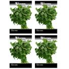4X Sementes de Coentro Verdão FELTRIN