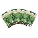 4X Sementes de Coentro Verdão TOPSEED