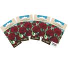 4X Sementes de Cravo Chabaud (Vermelho) TOPSEED 4X Sementes de Cravo Chabaud (Vermelho) TOPSEED