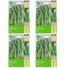 4X Sementes de Feijão-Vagem Xirú (4g) ISLA