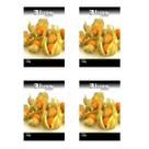 4X Sementes de Fisális GoldenBerry FELTRIN