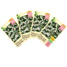 4X Sementes de Gypsophila Elegans/ Mosquitinho (Branco) ISLA