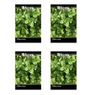 4X Sementes de Hortelã ou Menta Piperita FELTRIN 4X Sementes de Hortelã ou Menta Piperita FELTRIN