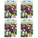4X Sementes de Maravilha dos Jardins (Sortida) TOPSEED
