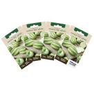 4X Sementes de Maxixe Liso Gibão TOPSEED